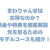 まわりゃんせはお得なのか？料金や特典を徹底解説！元を取るためのモデルコースも紹介！
